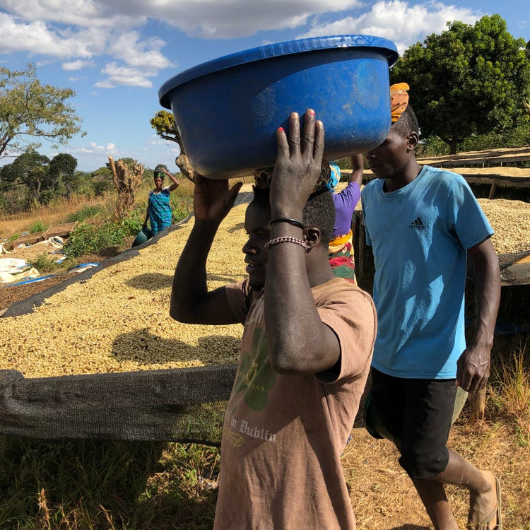 Tanzania Ol Doniyo