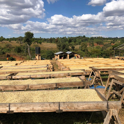 Tanzania Ol Doniyo